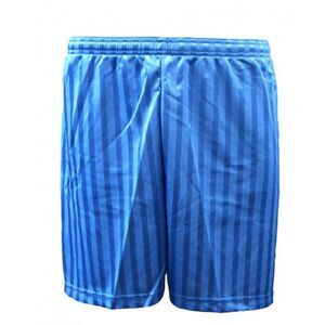 Carta Sport Unisex Adult Seriea Shorts / Royal Blue